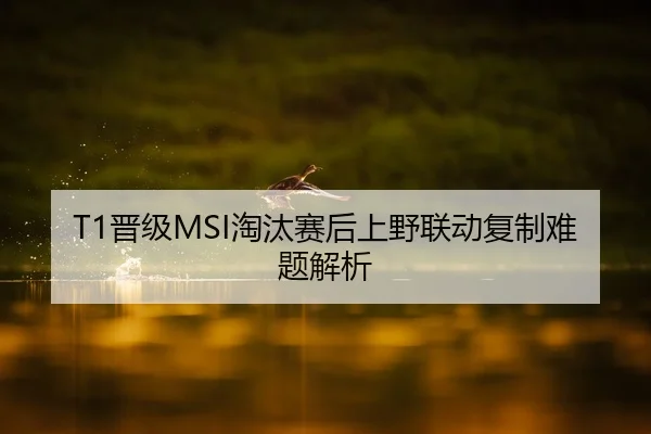 T1晋级MSI淘汰赛后上野联动复制难题解析